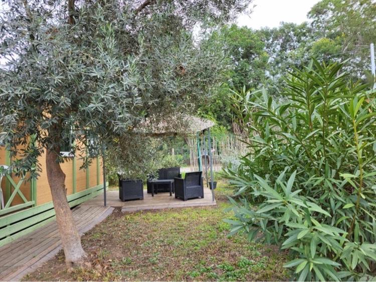Chalet Avec Patio En Haute Corse 5 Couchages Camp du Cap Sud Exterior foto